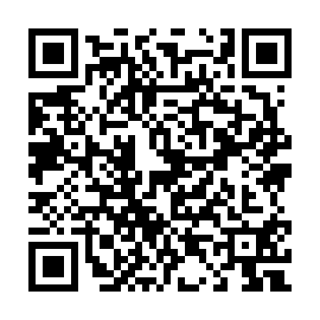 QR code for T496100