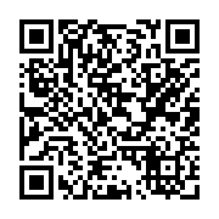 QR code for T49928