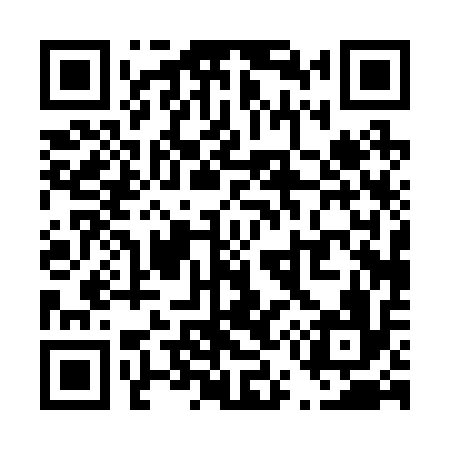 QR code for T50216