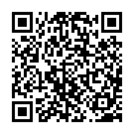 QR code for T50295