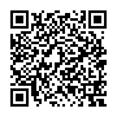 QR code for T513986