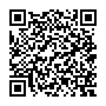 QR code for T517019