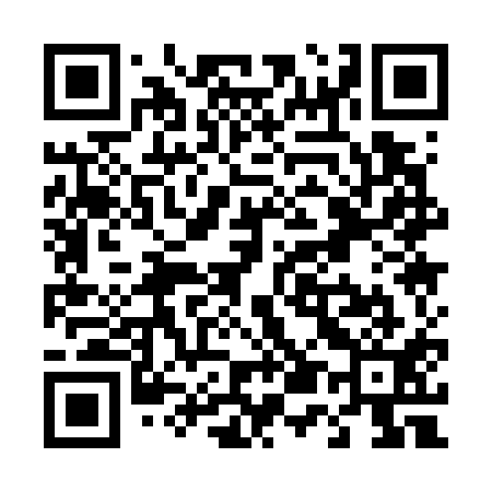 QR code for T51711