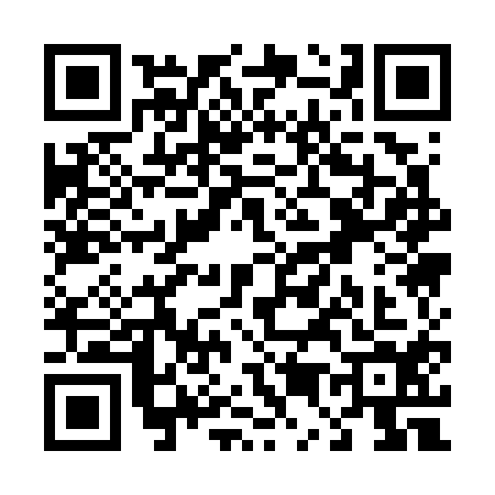 QR code for T517142