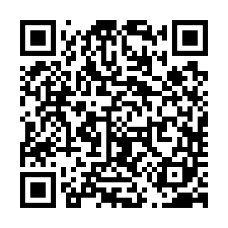 QR code for T52741