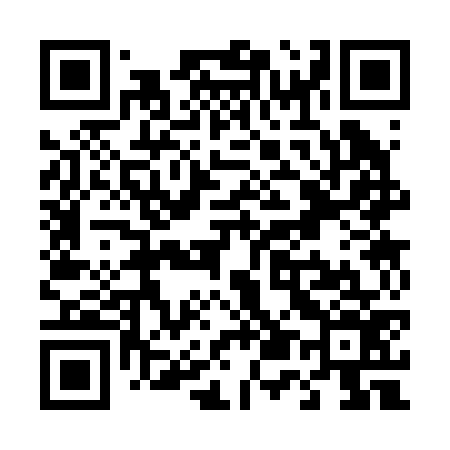 QR code for T53276