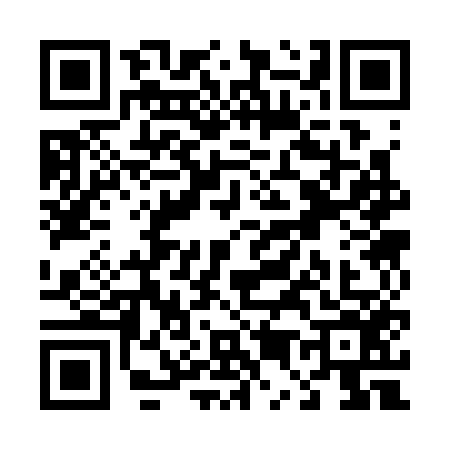 QR code for T533561