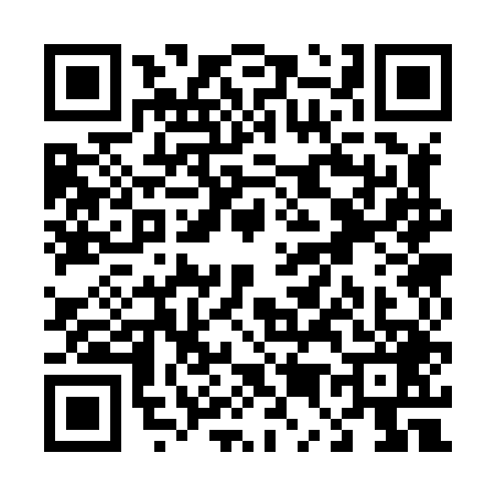 QR code for T538494