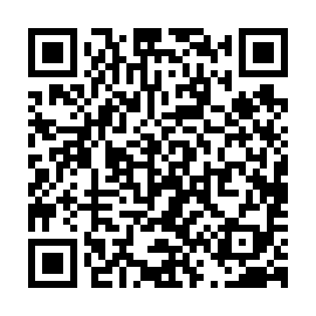 QR code for T60699