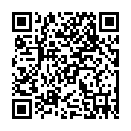QR code for T63026