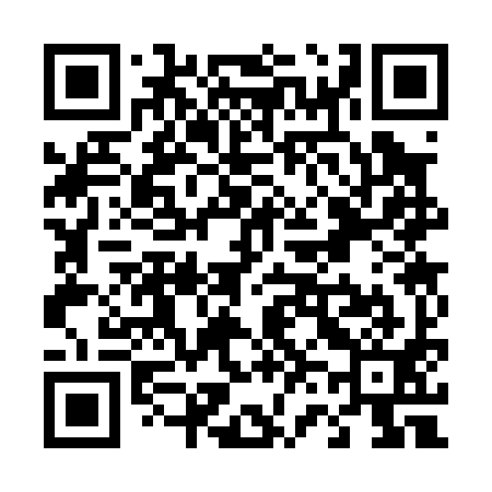 QR code for T63091