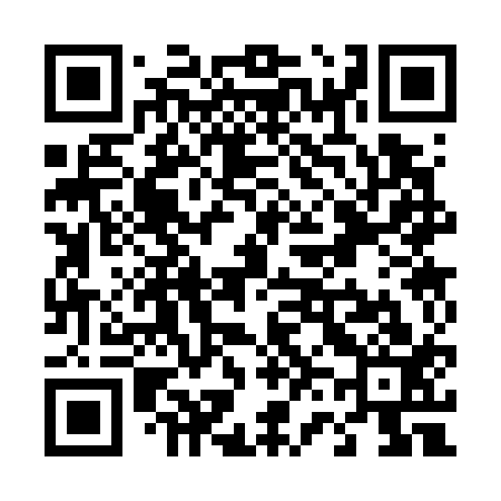 QR code for T63713
