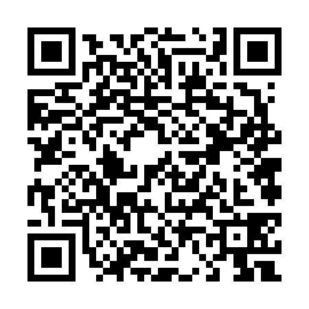 QR code for T666380