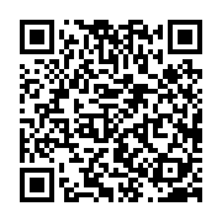 QR code for T80229