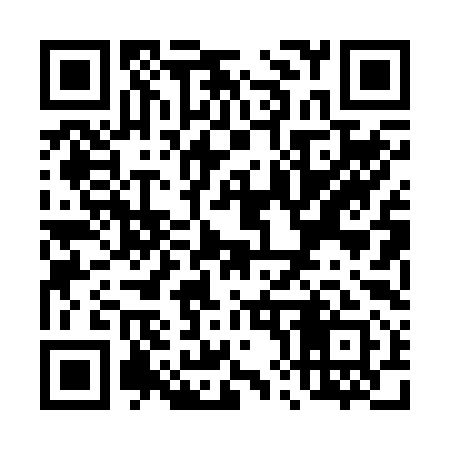 QR code for T80291