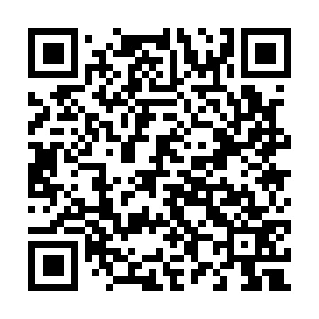 QR code for T81173