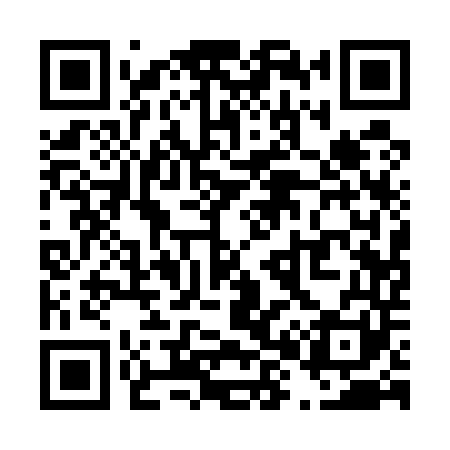 QR code for T81541