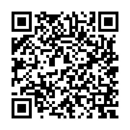 QR code for T858405