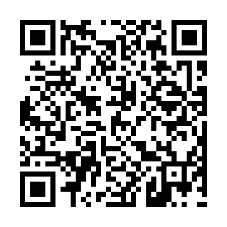 QR code for T87154