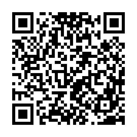 QR code for T88066