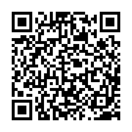 QR code for T90393