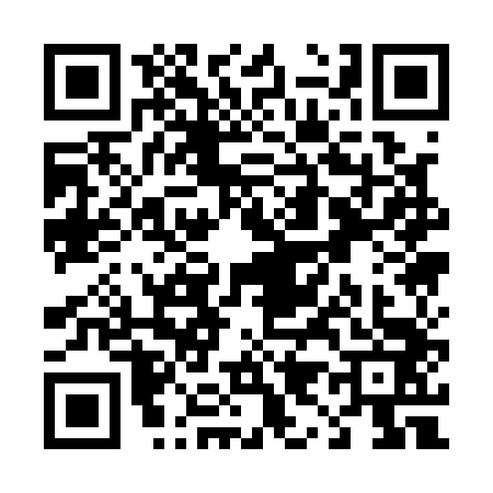 QR code for T911439