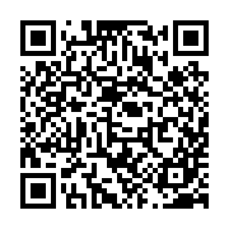 QR code for T91287