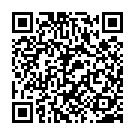 QR code for T91528