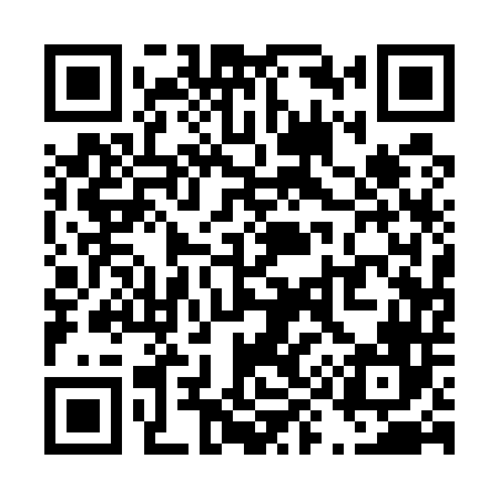 QR code for T91546
