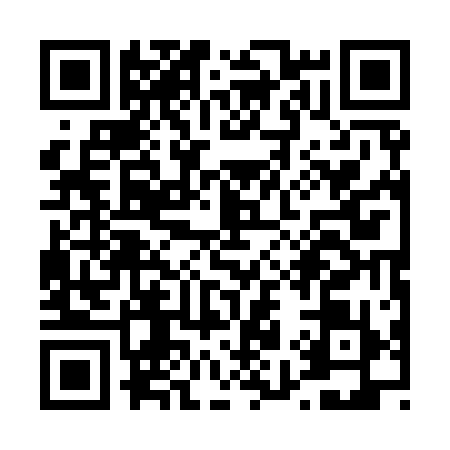 QR code for T919199