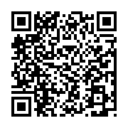 QR code for T920383