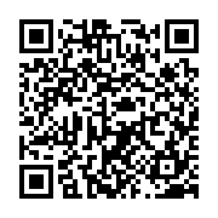 QR code for T93334