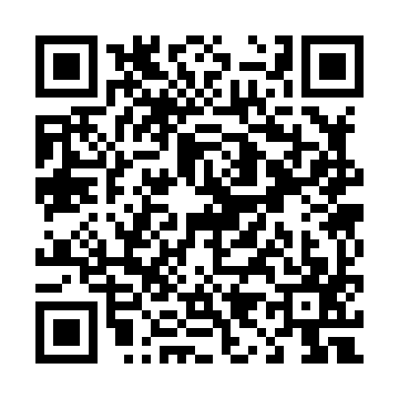 QR code for T938972