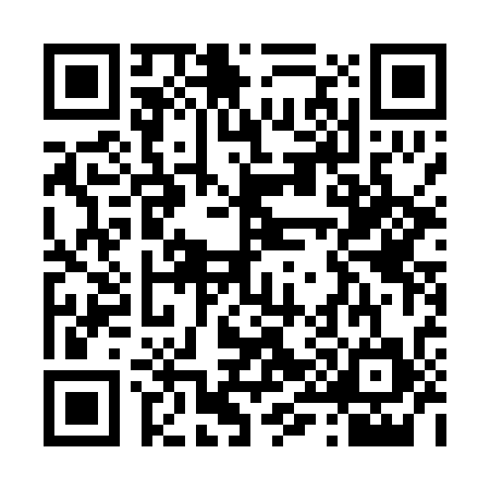 QR code for T950341