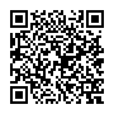 QR code for T951368