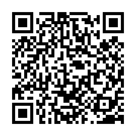 QR code for T95419