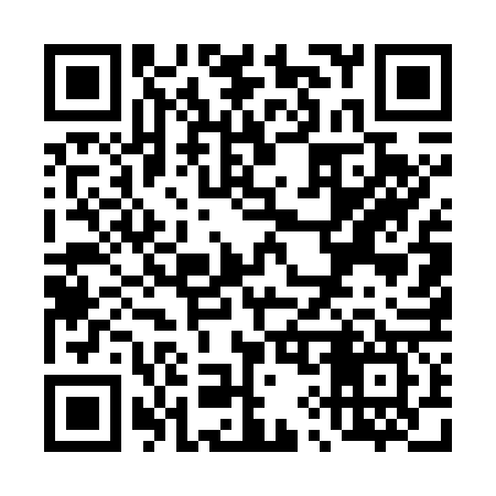 QR code for T95767