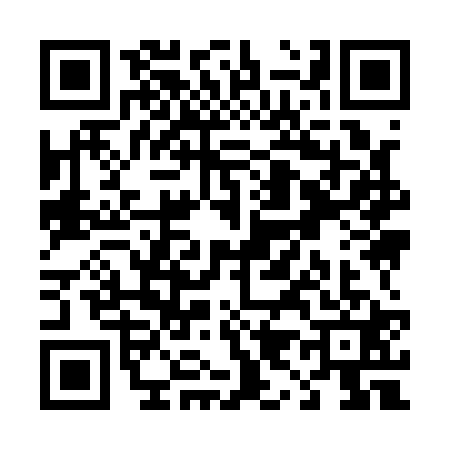 QR code for T991213