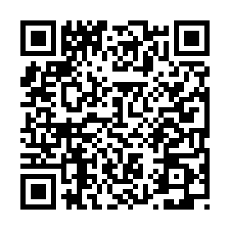 QR code for T995809