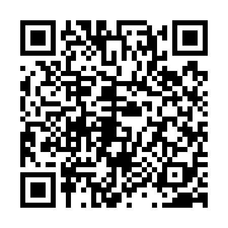QR code for T997194