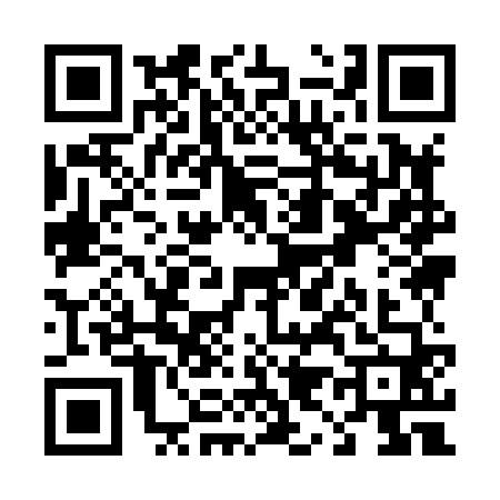 QR code for T998607