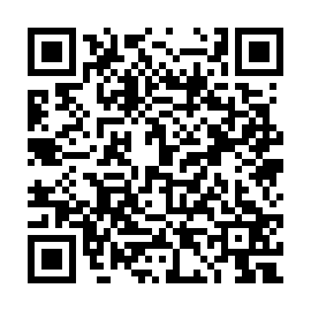 QR code for TD17239