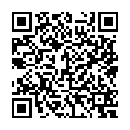 QR code for TD95217