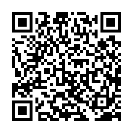 QR code for TDP733