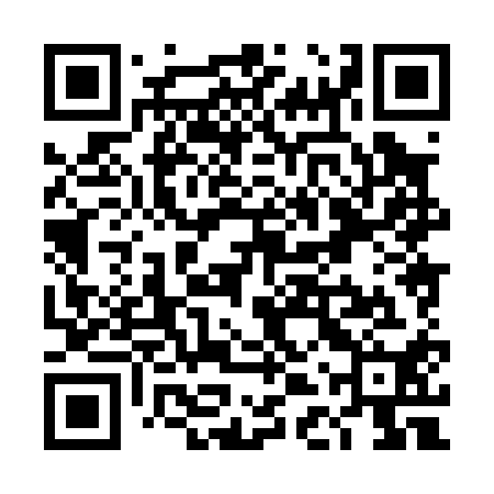 QR code for TDX010