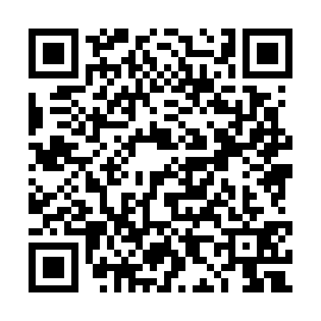 QR code for TH87317