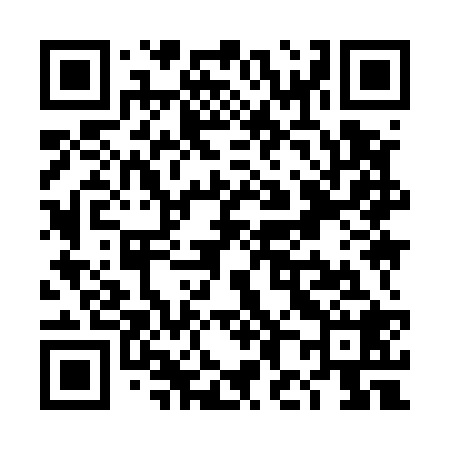 QR code for TH9528