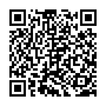 QR code for TI4228
