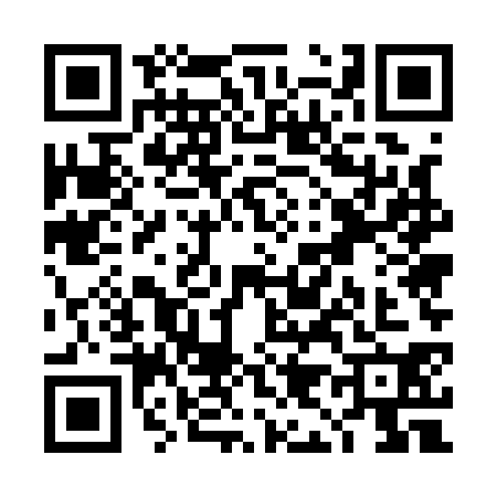 QR code for TI51304