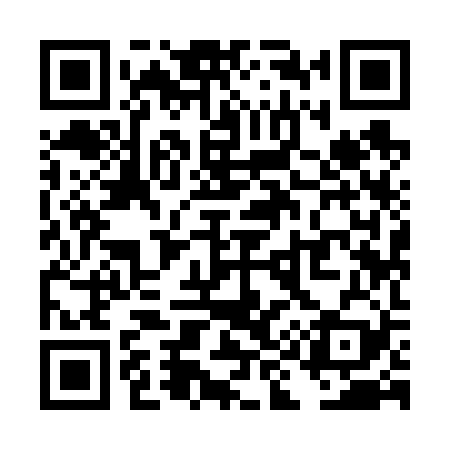 QR code for TI9629